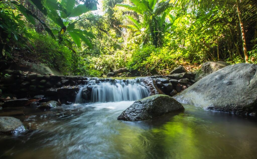 Kathu Waterfall in the tropical forest area In Asia, suitable for walks, nature walks and hiking, adventure photography Of the national park Phuket Thailand,Suitable for travel and leisure.