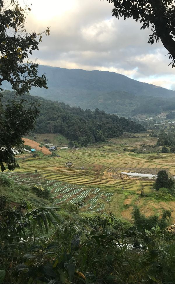 Doi Inthanon Village