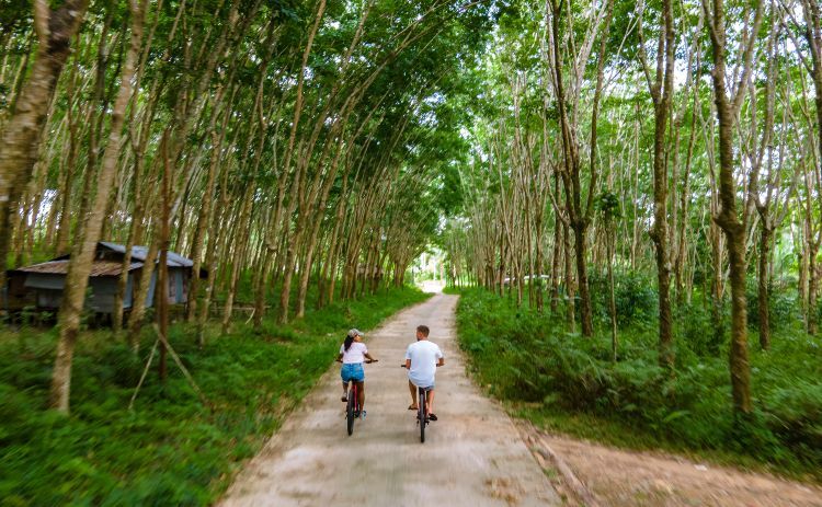 Photo of couple cycling through the jungle on Koh Yao Yai, Thailand