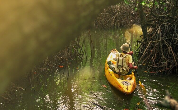 Photo of Mangrove kayaking on Koh Yao Yai, Thailand