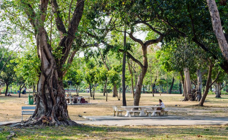 Romaneenart Park Bangkok