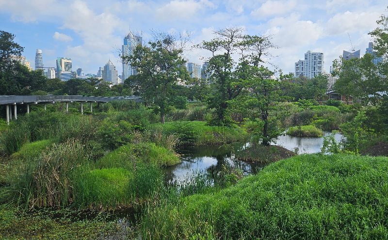 Benjakitti Park Bangkok