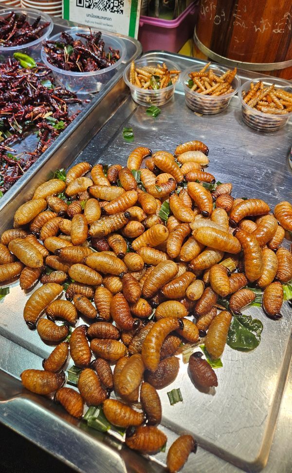 Bangkok night market bug stall 