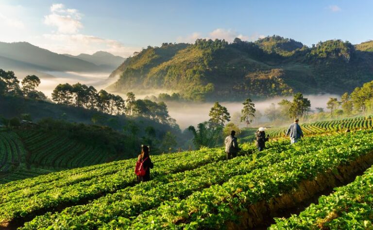 Weather of Thailand in January Temperate Climate Zones Amidst Rainy Spells