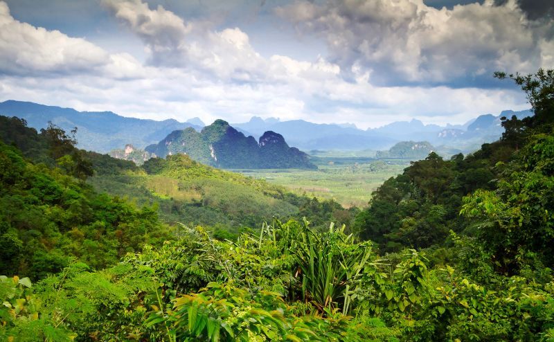 Is Khao Lak worth visiting.... this view of Khao Sok National Park says yes
