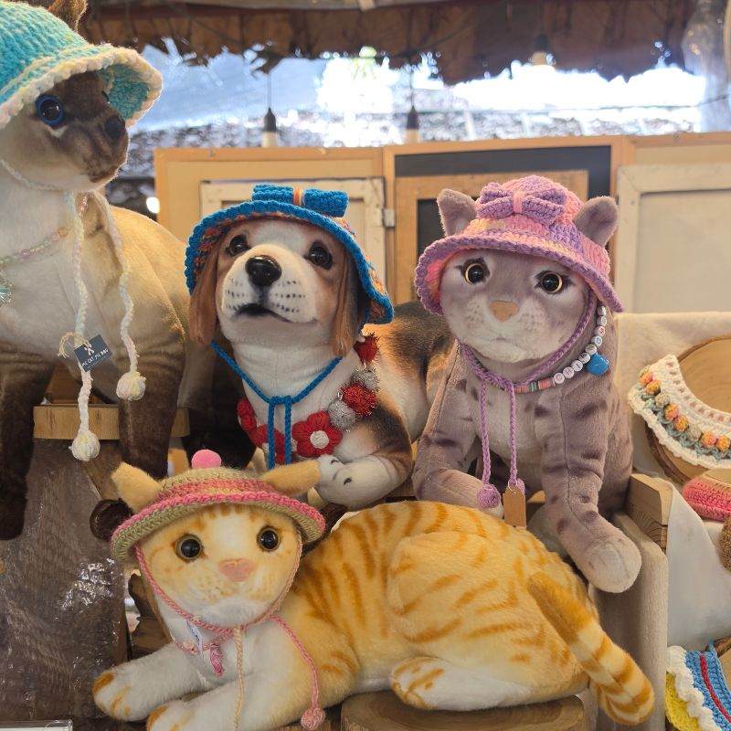Cat accessories