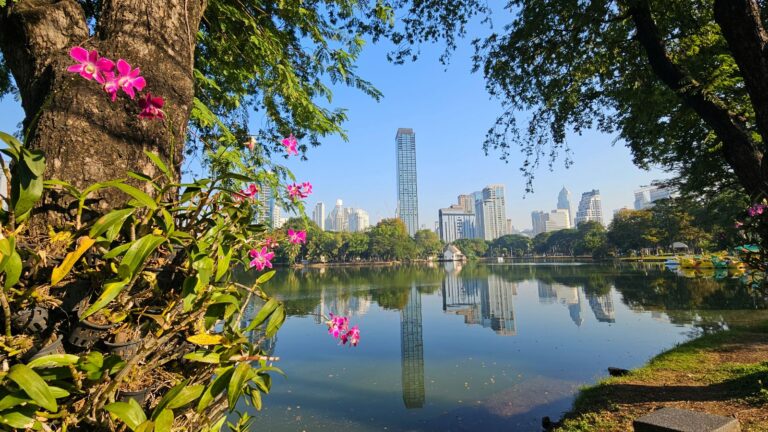 Lumphini Park Lake in 2026