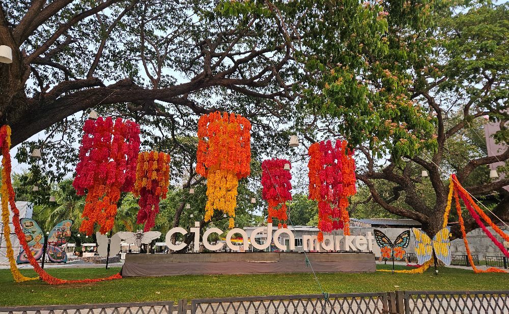 Cicada Night Market