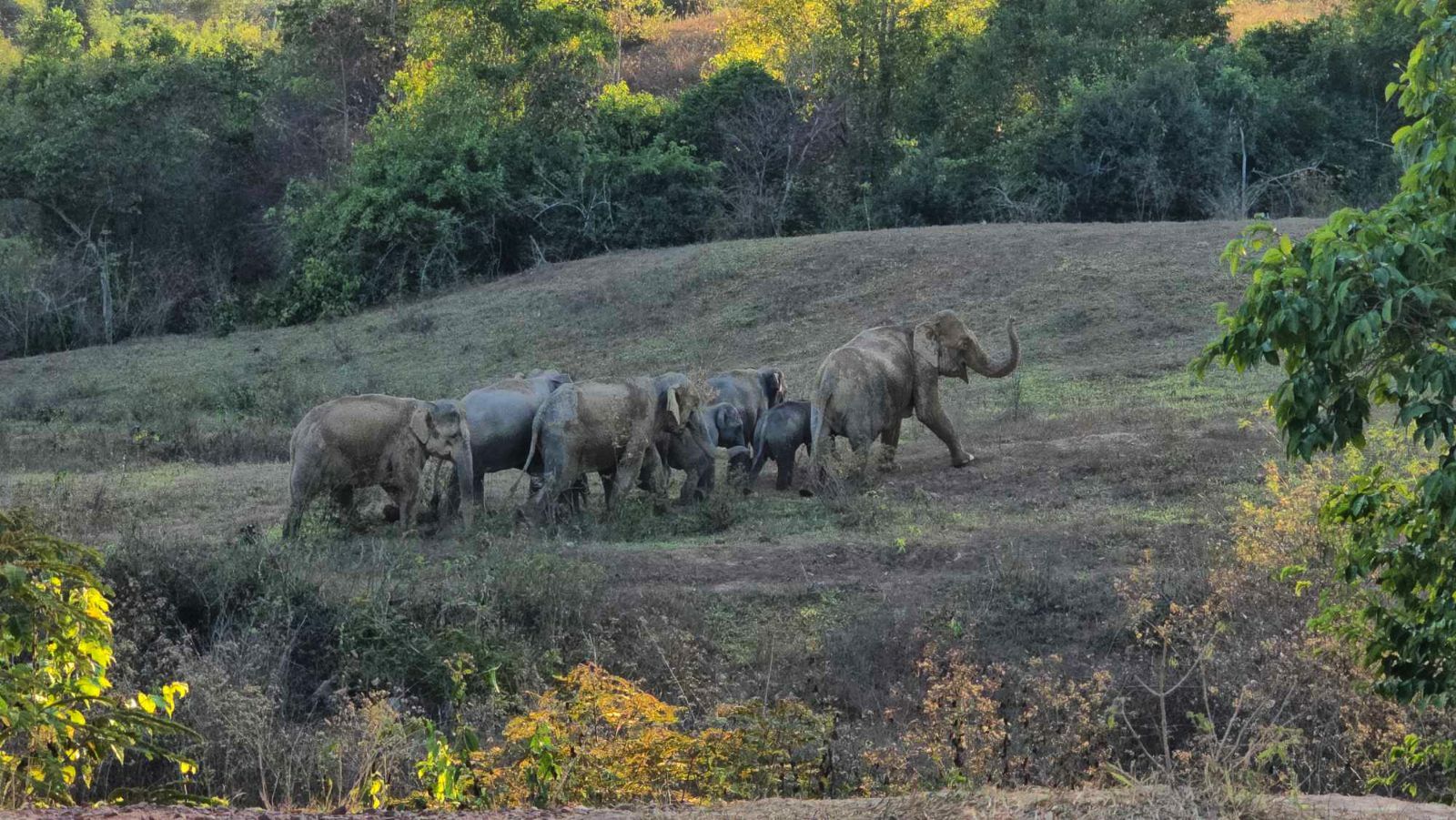 Kuri Buri National Park