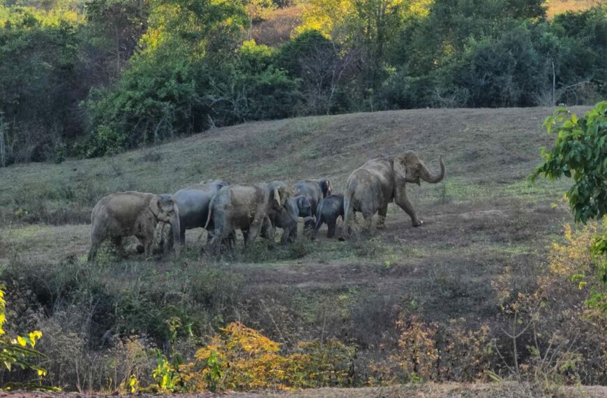 Kuri Buri National Park