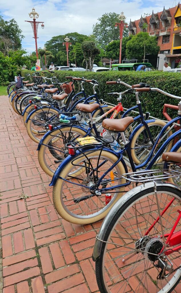 Bicycle hire service in ayutthaya