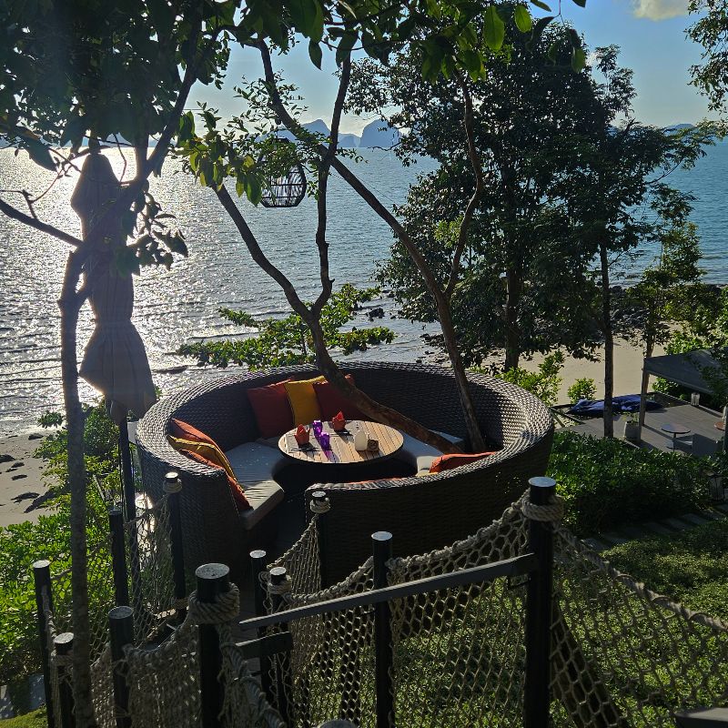 enjoy afternoon tea in the tree house