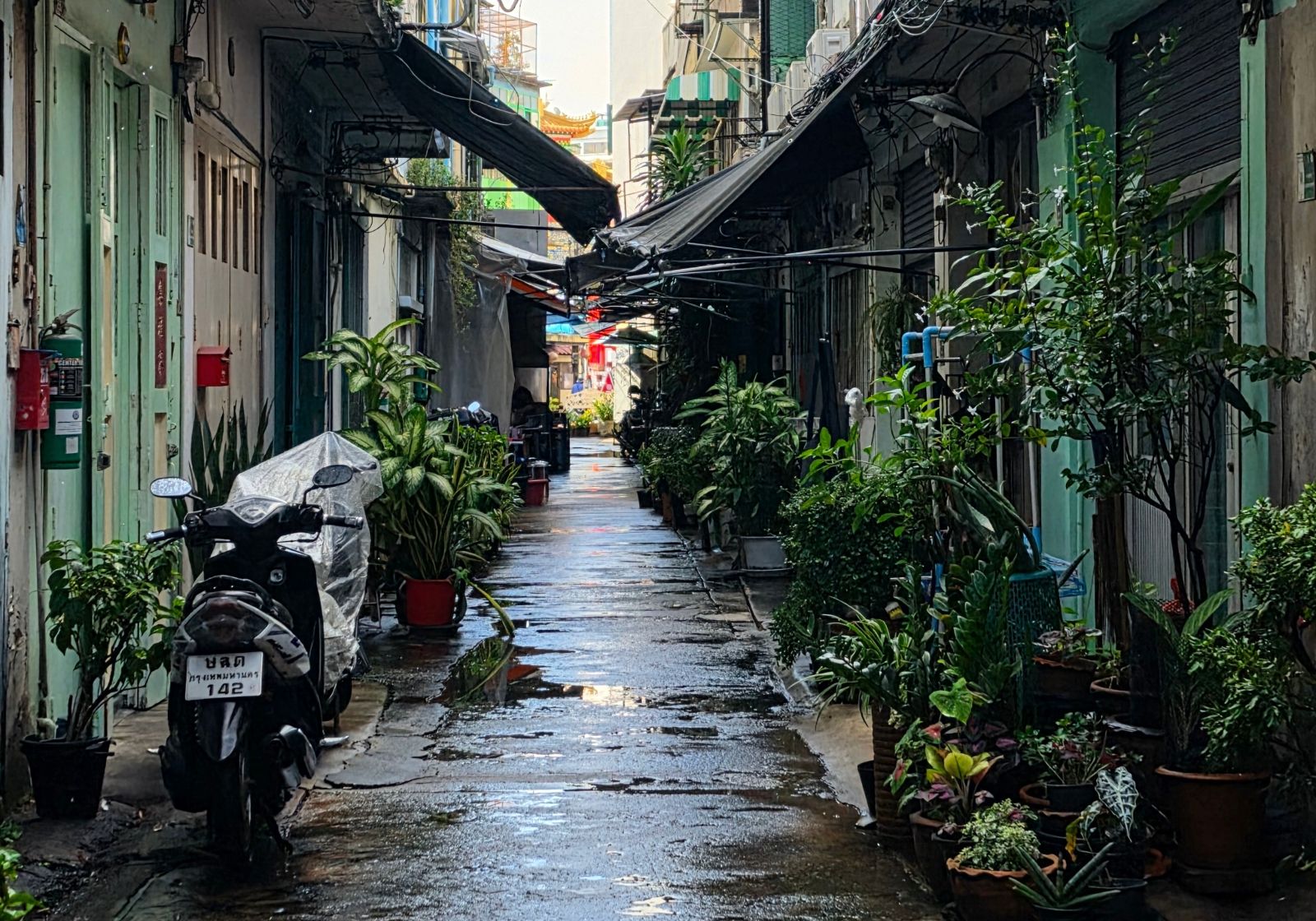An Alley in Sam Yot/Chinatown Bangkok